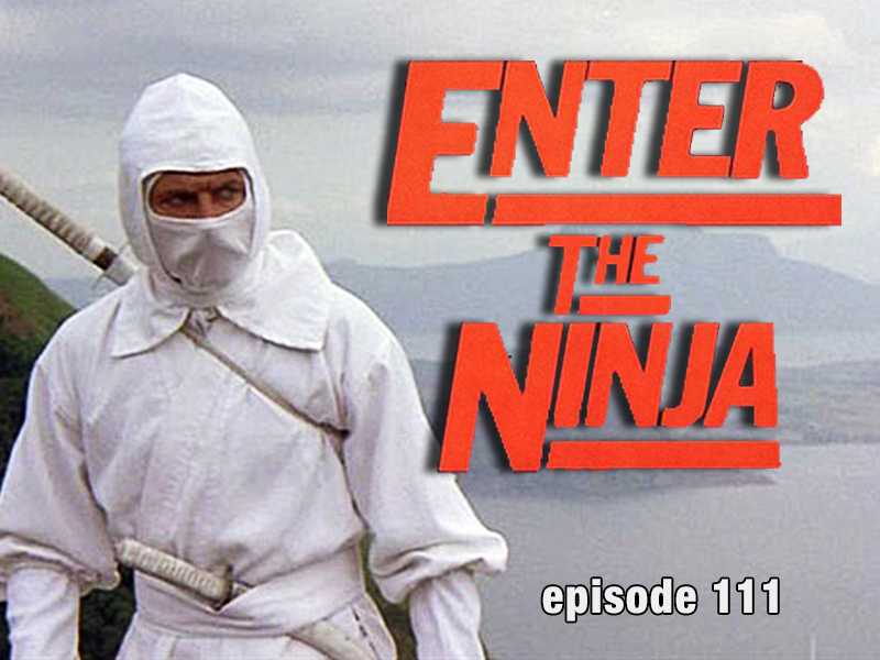 Enter the Ninja Review CFIR