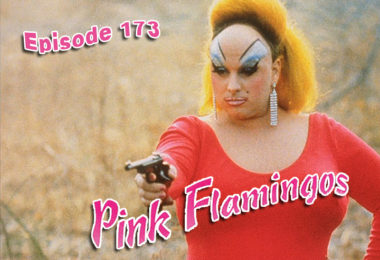 Pink Flamingos Review CFIR