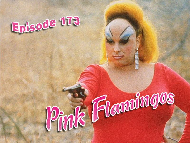Pink Flamingos Review CFIR