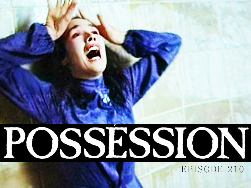 Possession Review CFiR