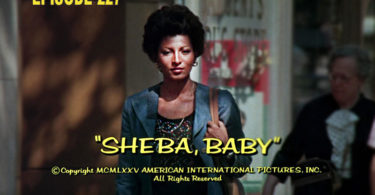 Sheba, Baby Review CFiR