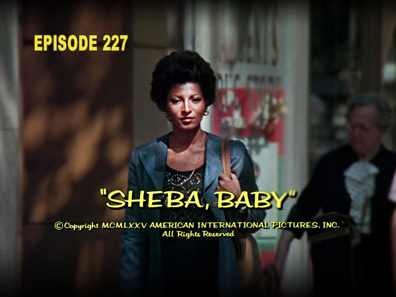 Sheba, Baby Review CFiR